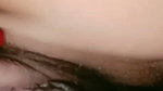 New Tango video collection – 598