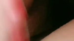 New Tango video collection – 598