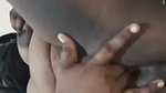 New Tango video collection – 668