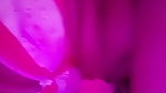 New Tango video collection – 704