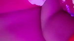 New Tango video collection – 704