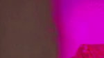 New Tango video collection – 773