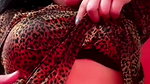 New Tango video collection – 778