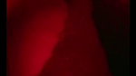 New Tango video collection – 799