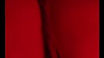 New Tango video collection – 799