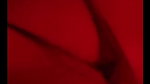 New Tango video collection – 799