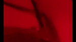 New Tango video collection – 799