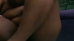 New Tango video collection – 831
