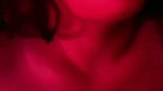 New Tango video collection – 833