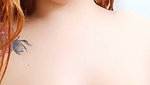 New Tango video collection – 886