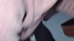 Beautiful Thick Sexy Indian Submissive Horny Gf Blowjob Fucking Taking Cum updates 2 5