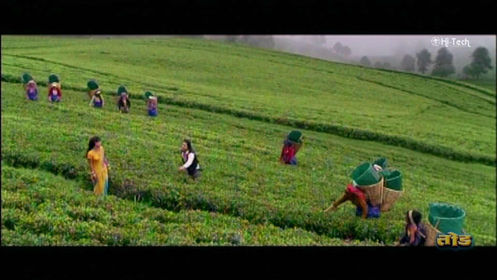 Frame 5