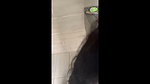 EXHIBITIONISM IN PUBLIC, PLEASE FOAL ME HERE IN PUBLIC
