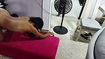 fuck skinny Venezuelan