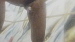 Bangla Mallu bhabhi sex video