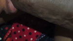 Bedtime Before a Small Blowjob Fun