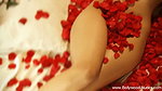 Bolly Dancer’s Sensual Art