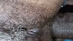 Desi girl forplay and sex with boyfriend