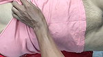 Indian Desi girl tight pussy xxx video, Desi girls sex video