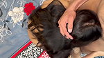 When I Saw Big Bhabhi Fingering Her Pussy, I Fucked Her. Full Movie with Clear Audio