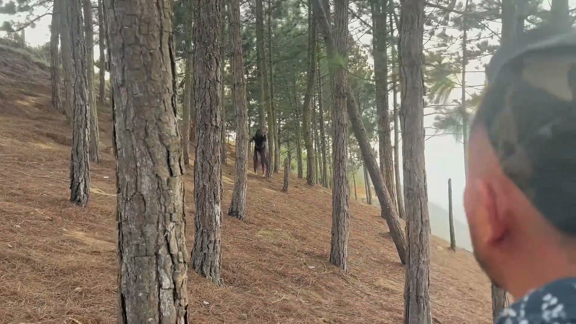 Frame 1