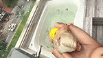 Fucking in a Public Jacuzzi End Creampie!