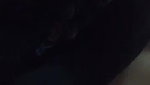 Guwahati Girl Shows her Boobs