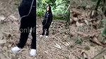 I Took My Best Friend Virgin to the Mountain and This Happened