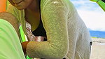 I took my stepsister to the beach and fucked her outdoors where everyone can see us
