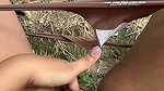 I’m a Naughty Girl, I Really Like Feeling My Fingers Inside My Big Wet Vagina Hehehe