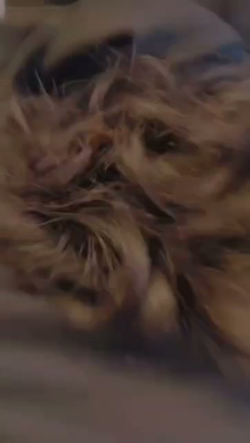 Frame 6