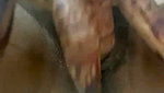 Horny Young Indian GF Showing Pressing Boobs Fingering updates 2 3