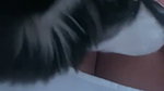 Kinky Sexy Indian Horny Gf Showing Asshole & fucking updates 10