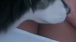 Kinky Sexy Indian Horny Gf Showing Asshole & fucking updates 10