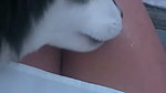 Kinky Sexy Indian Horny Gf Showing Asshole & fucking updates 10