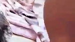 Kinky Sexy Indian Horny Gf Showing Asshole & fucking updates 27