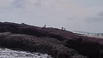 SEXY CHUBBY TANKER NUDE ON BEACH & THREESOME FUCK UPDATE 2 2