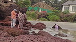 SEXY CHUBBY TANKER NUDE ON BEACH & THREESOME FUCK UPDATE 2 2