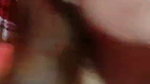 Arshi