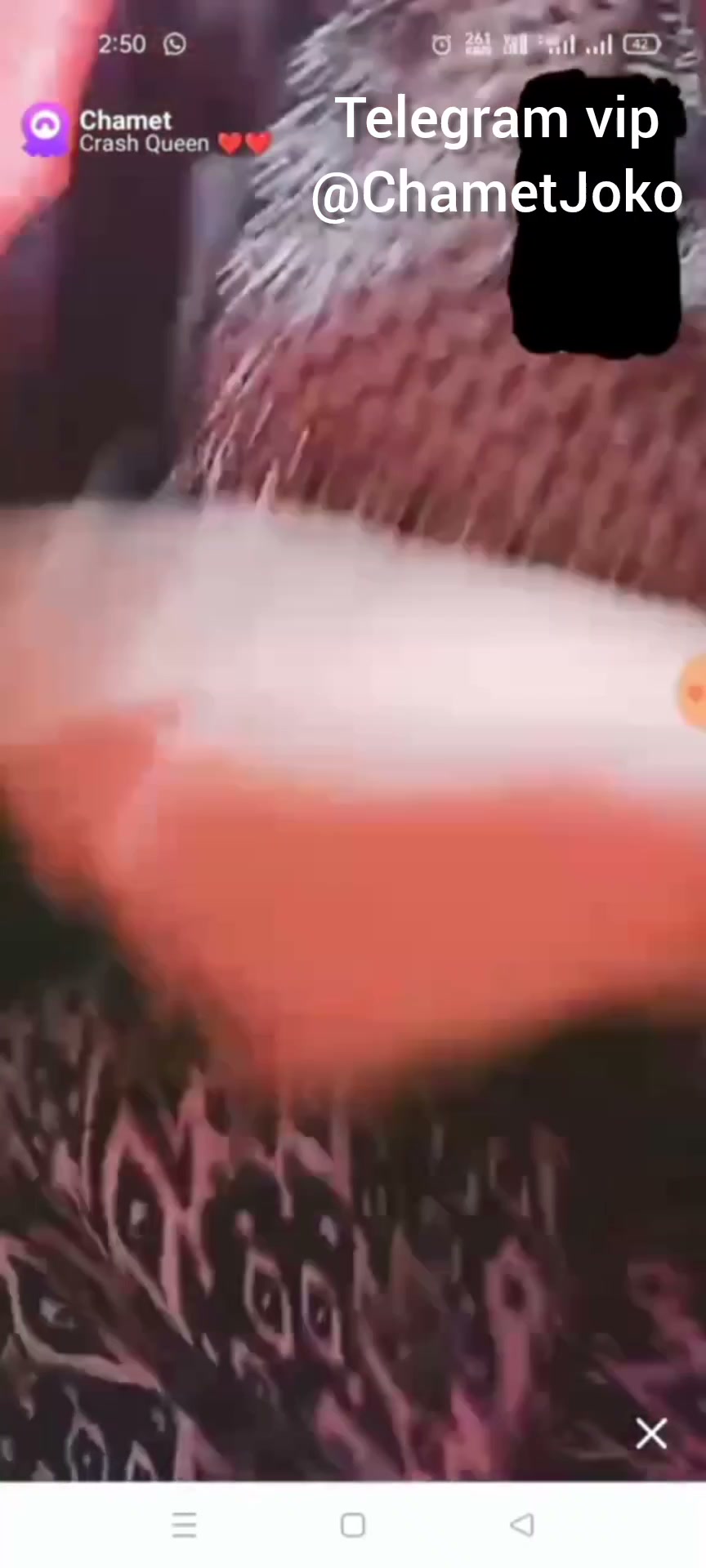 Frame 6