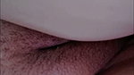 Desi cute chamet girl – (101)