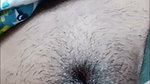 Desi cute chamet girl – (119)