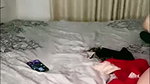 Desi cute chamet girl – (28)