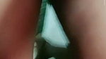 Desi cute chamet girl – (69)