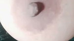 Dimple 11 Chamet