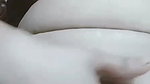 Horny Sunflower