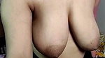 Lisa model