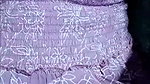 Mahiya mahi Chamet part1