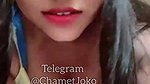 Miss Fairy Chamet