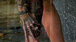 Anastasia Shades – Shades of Ink